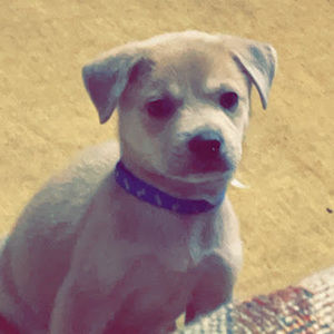 Meet your Posher, Madeleine